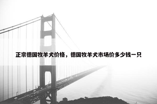 正宗德国牧羊犬价格，德国牧羊犬市场价多少钱一只