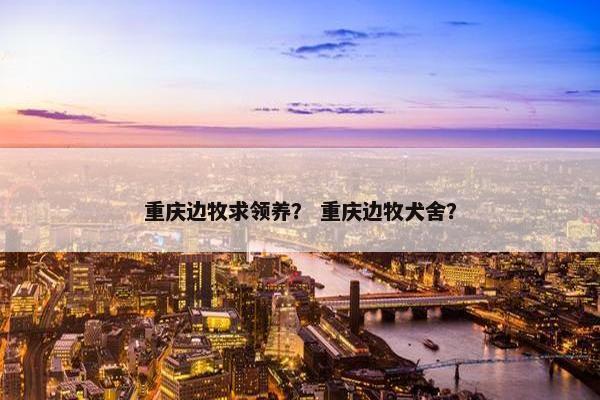 重庆边牧求领养？ 重庆边牧犬舍？