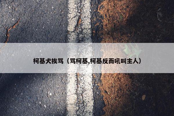 柯基犬挨骂（骂柯基,柯基反而吼叫主人）