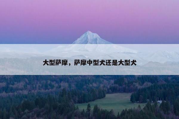 大型萨摩，萨摩中型犬还是大型犬