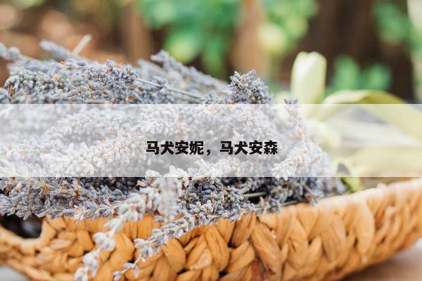马犬安妮，马犬安森