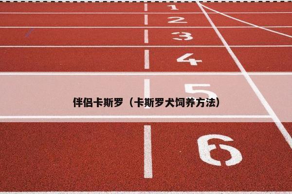 伴侣卡斯罗（卡斯罗犬饲养方法）