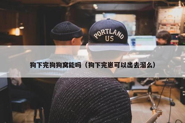 狗下完狗狗窝能吗（狗下完崽可以出去溜么）