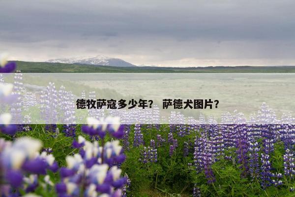 德牧萨寇多少年？ 萨德犬图片？
