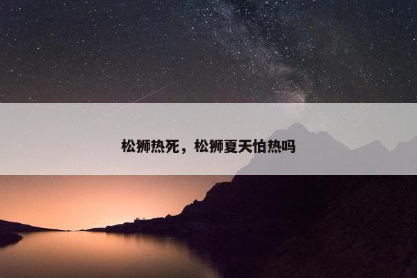 松狮热死，松狮夏天怕热吗