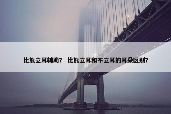 比熊立耳辅助？ 比熊立耳和不立耳的耳朵区别？