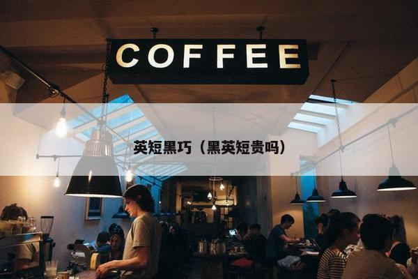 英短黑巧（黑英短贵吗）