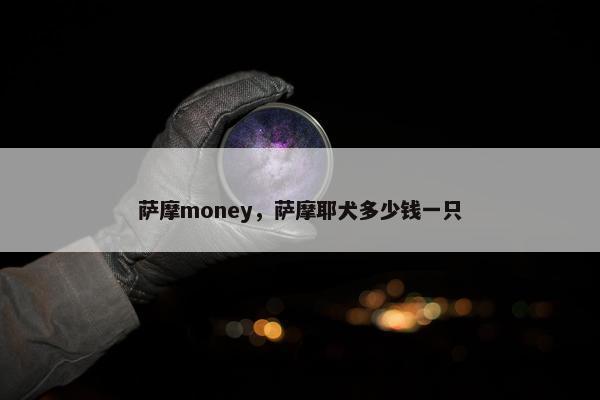 萨摩money，萨摩耶犬多少钱一只