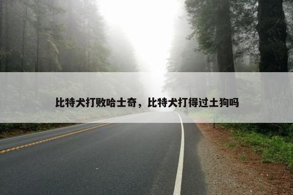 比特犬打败哈士奇，比特犬打得过土狗吗