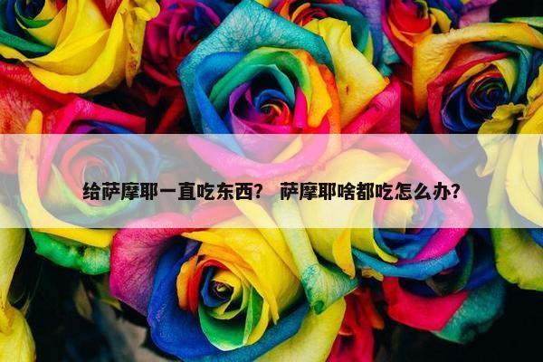 给萨摩耶一直吃东西？ 萨摩耶啥都吃怎么办？