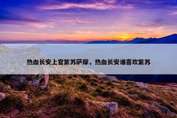 热血长安上官紫苏萨摩，热血长安谁喜欢紫苏