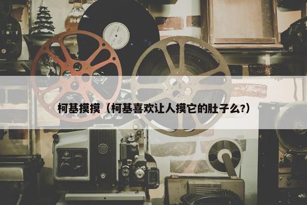 柯基摸摸（柯基喜欢让人摸它的肚子么?）