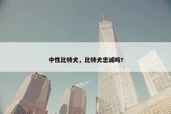 中性比特犬，比特犬忠诚吗?