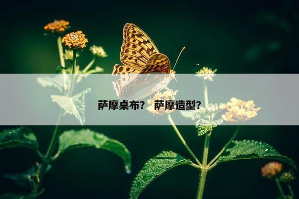 萨摩桌布？ 萨摩造型？