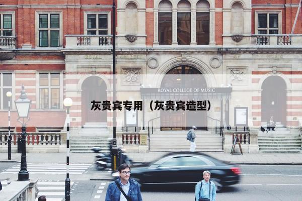 灰贵宾专用（灰贵宾造型）