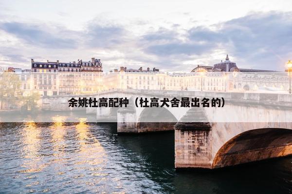 余姚杜高配种（杜高犬舍最出名的）