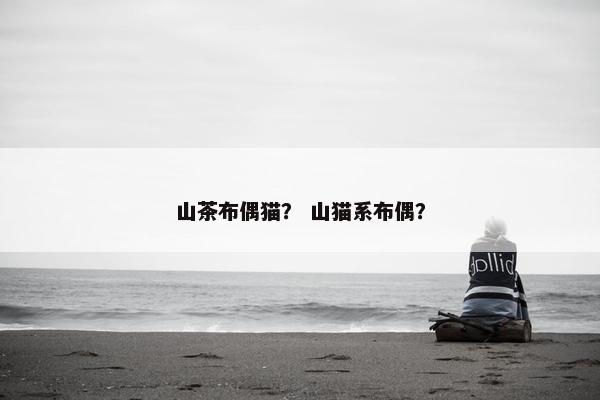 山茶布偶猫？ 山猫系布偶？