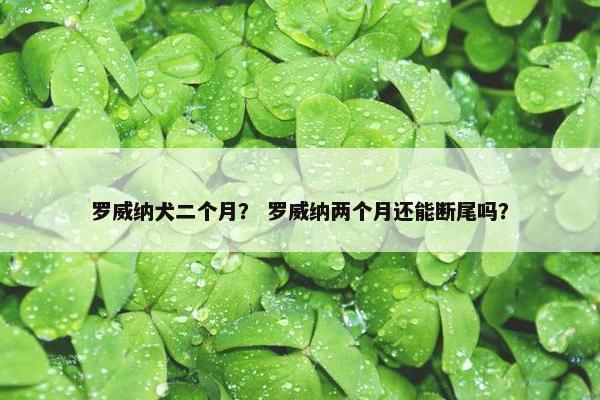 罗威纳犬二个月？ 罗威纳两个月还能断尾吗？