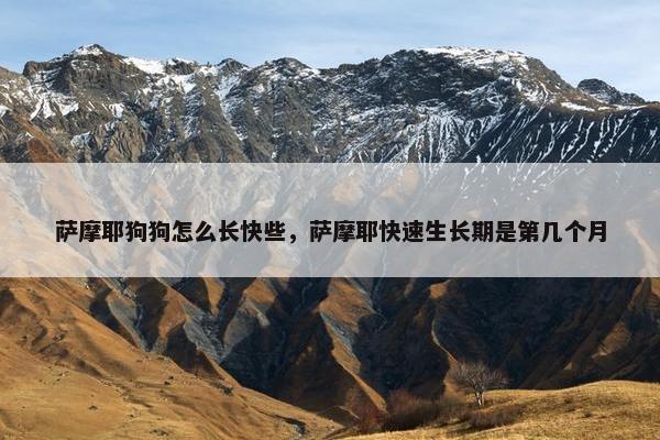 萨摩耶狗狗怎么长快些，萨摩耶快速生长期是第几个月