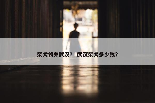 柴犬领养武汉？ 武汉柴犬多少钱？