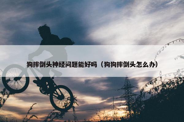 狗摔倒头神经问题能好吗（狗狗摔倒头怎么办）
