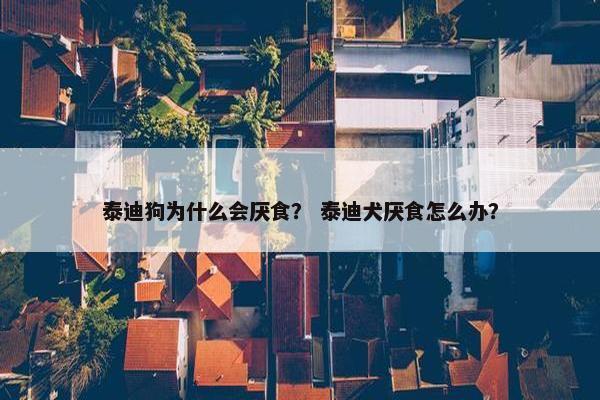 泰迪狗为什么会厌食？ 泰迪犬厌食怎么办？