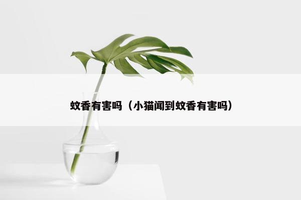 蚊香有害吗（小猫闻到蚊香有害吗）