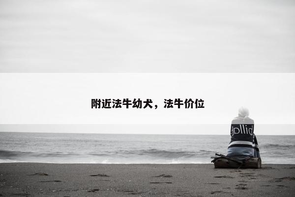 附近法牛幼犬，法牛价位