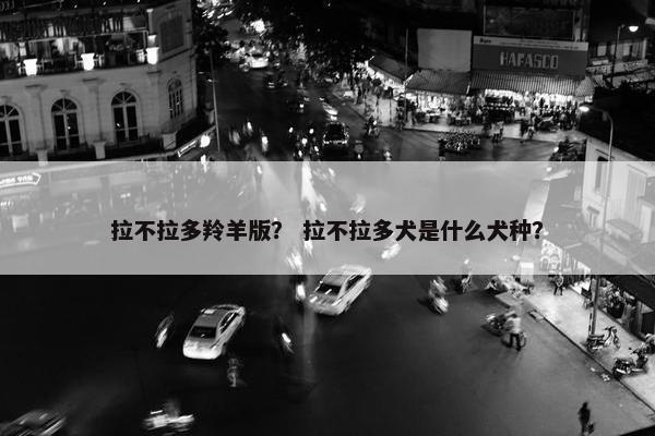 拉不拉多羚羊版？ 拉不拉多犬是什么犬种？