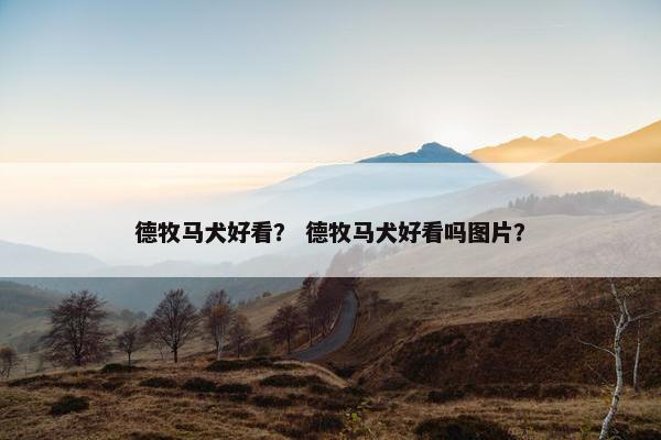 德牧马犬好看？ 德牧马犬好看吗图片？