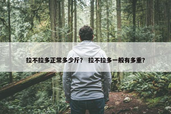 拉不拉多正常多少斤？ 拉不拉多一般有多重？