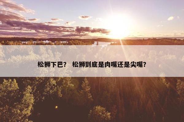 松狮下巴？ 松狮到底是肉嘴还是尖嘴？