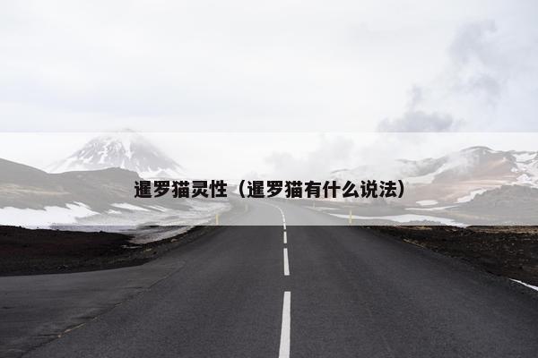 暹罗猫灵性（暹罗猫有什么说法）