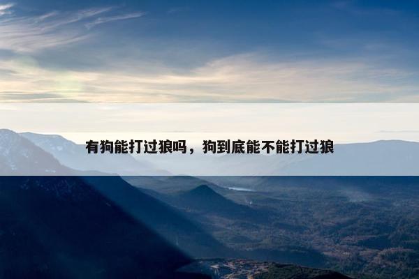 有狗能打过狼吗，狗到底能不能打过狼