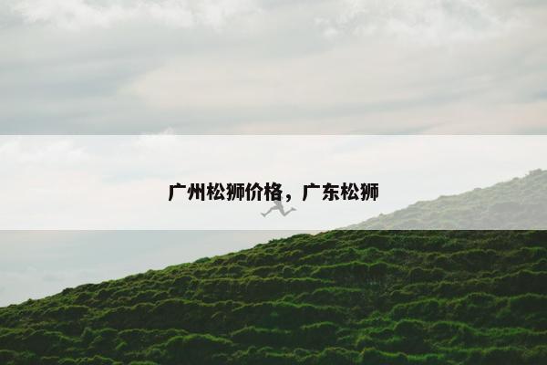 广州松狮价格，广东松狮
