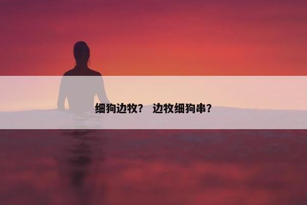 细狗边牧？ 边牧细狗串？