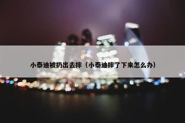小泰迪被扔出去摔（小泰迪摔了下来怎么办）