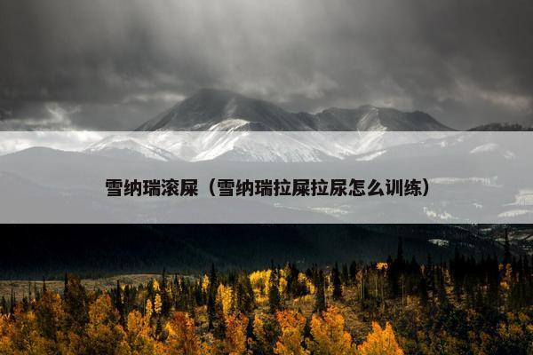 雪纳瑞滚屎（雪纳瑞拉屎拉尿怎么训练）