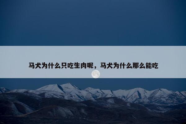 马犬为什么只吃生肉呢，马犬为什么那么能吃