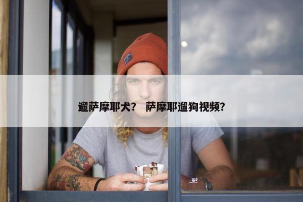 遛萨摩耶犬？ 萨摩耶遛狗视频？
