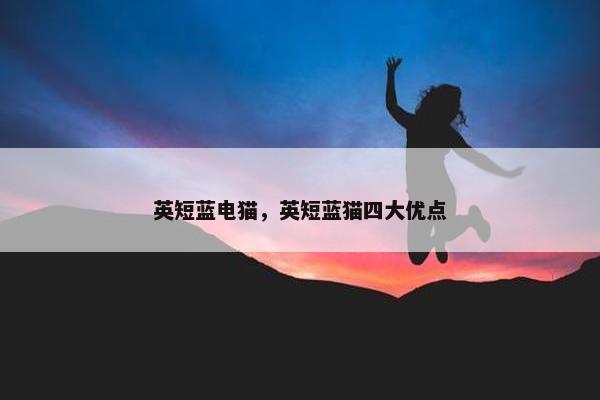 英短蓝电猫，英短蓝猫四大优点