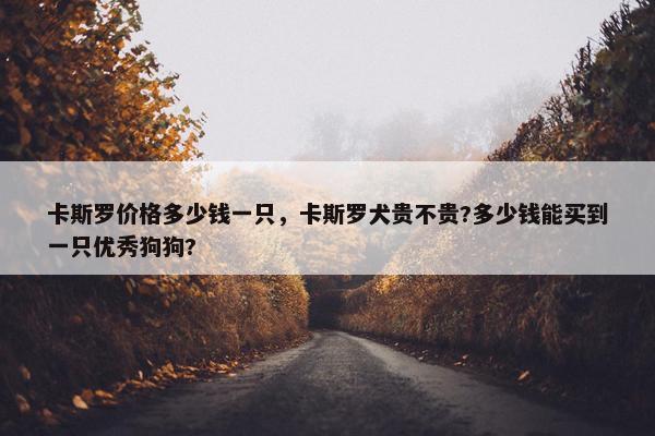 卡斯罗价格多少钱一只，卡斯罗犬贵不贵?多少钱能买到一只优秀狗狗?