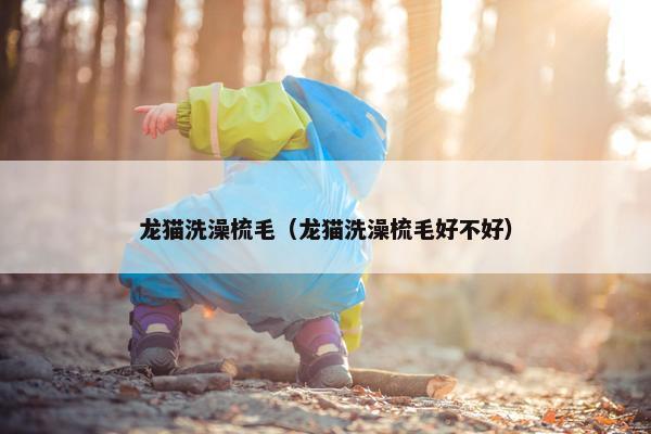 龙猫洗澡梳毛（龙猫洗澡梳毛好不好）