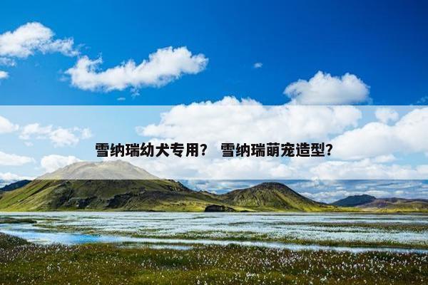 雪纳瑞幼犬专用？ 雪纳瑞萌宠造型？