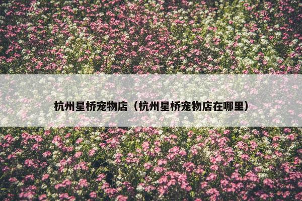 杭州星桥宠物店（杭州星桥宠物店在哪里）
