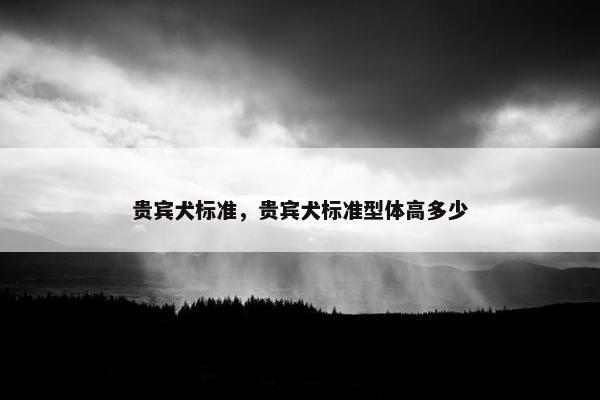 贵宾犬标准，贵宾犬标准型体高多少