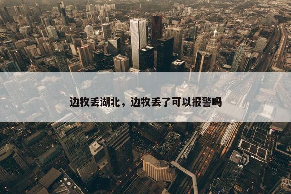 边牧丢湖北，边牧丢了可以报警吗