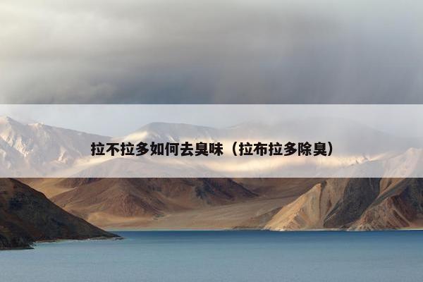 拉不拉多如何去臭味（拉布拉多除臭）