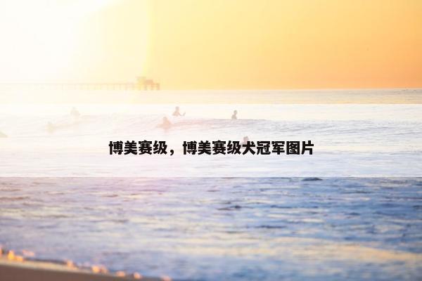 博美赛级，博美赛级犬冠军图片
