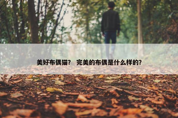 美好布偶猫？ 完美的布偶是什么样的？